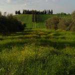 Toscana 2008 verso Pienza